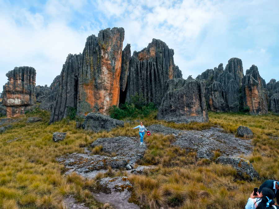 bosque de piedras la shacsha